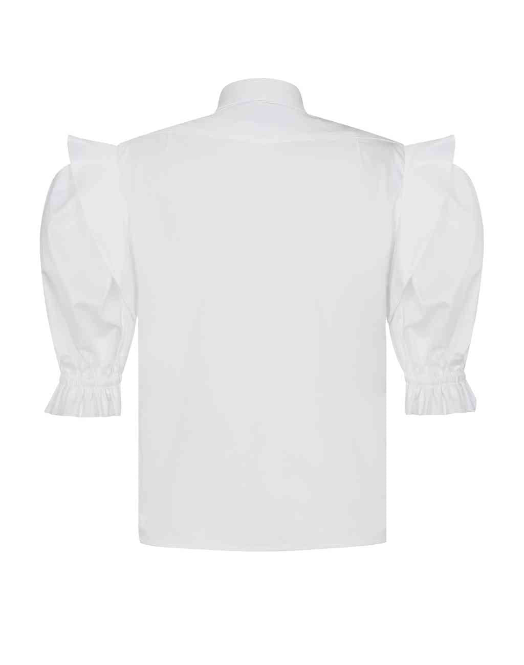 Chia Blouse with Pleated Front Placket and Puffed Sleeve with Ruffle - Visit Nifty De Loreta 